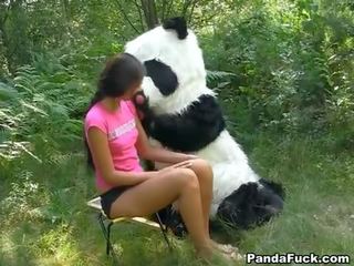 X nominālā video uz the meži ar a milzīgs rotaļlieta panda