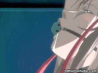 ミックス の ビデオ バイ エロアニメ ニッチ